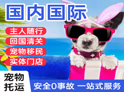 白山机场邮寄国际宠物托运 【国